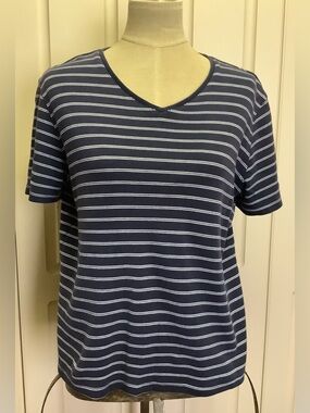 Karen Scott Sport Shirt Top-Blue White Stripe-V-Neck-Short Sleeve-Cotton-Large